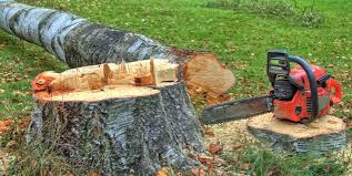 Best Lawn Grading and Leveling  in Sherwood, OH