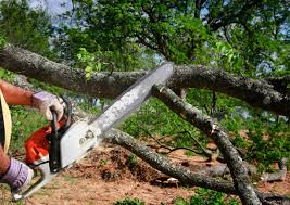 Best Lawn Maintenance Plans  in Sherwood, OH