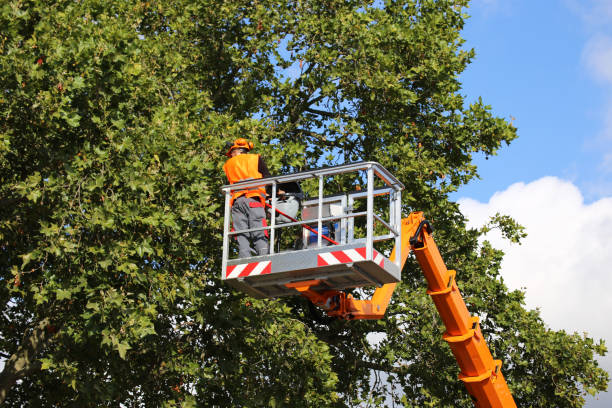 Soil Testing and Treatment in Sherwood, OH