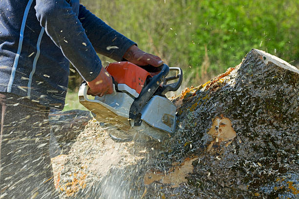 Best Lawn Pest Prevention  in Sherwood, OH